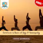 Free Yoga & Naturopathy Certificate Course Online